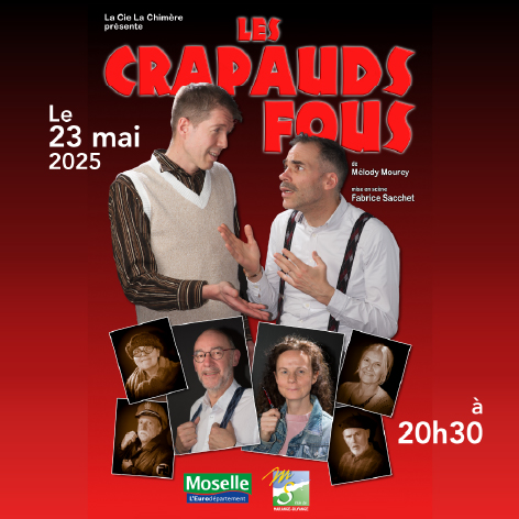 L’histoire vraie et extraordinaire de médecins polonais qui durant la Seconde Guerre mondiale sauvèrent des milliers de vies… En organisant une vaste supercherie. Avec 9 comédiens sur scène interprétant plus de 20 personnages !